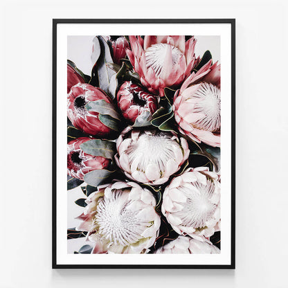 Vintage Protea