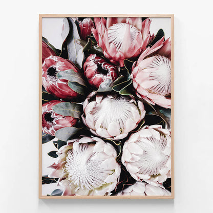 Vintage Protea