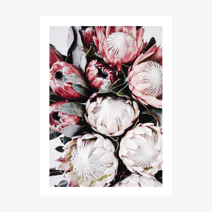 Vintage Protea