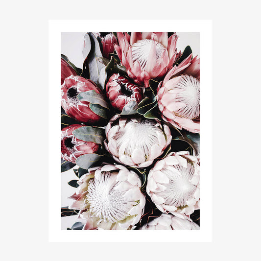 Vintage Protea