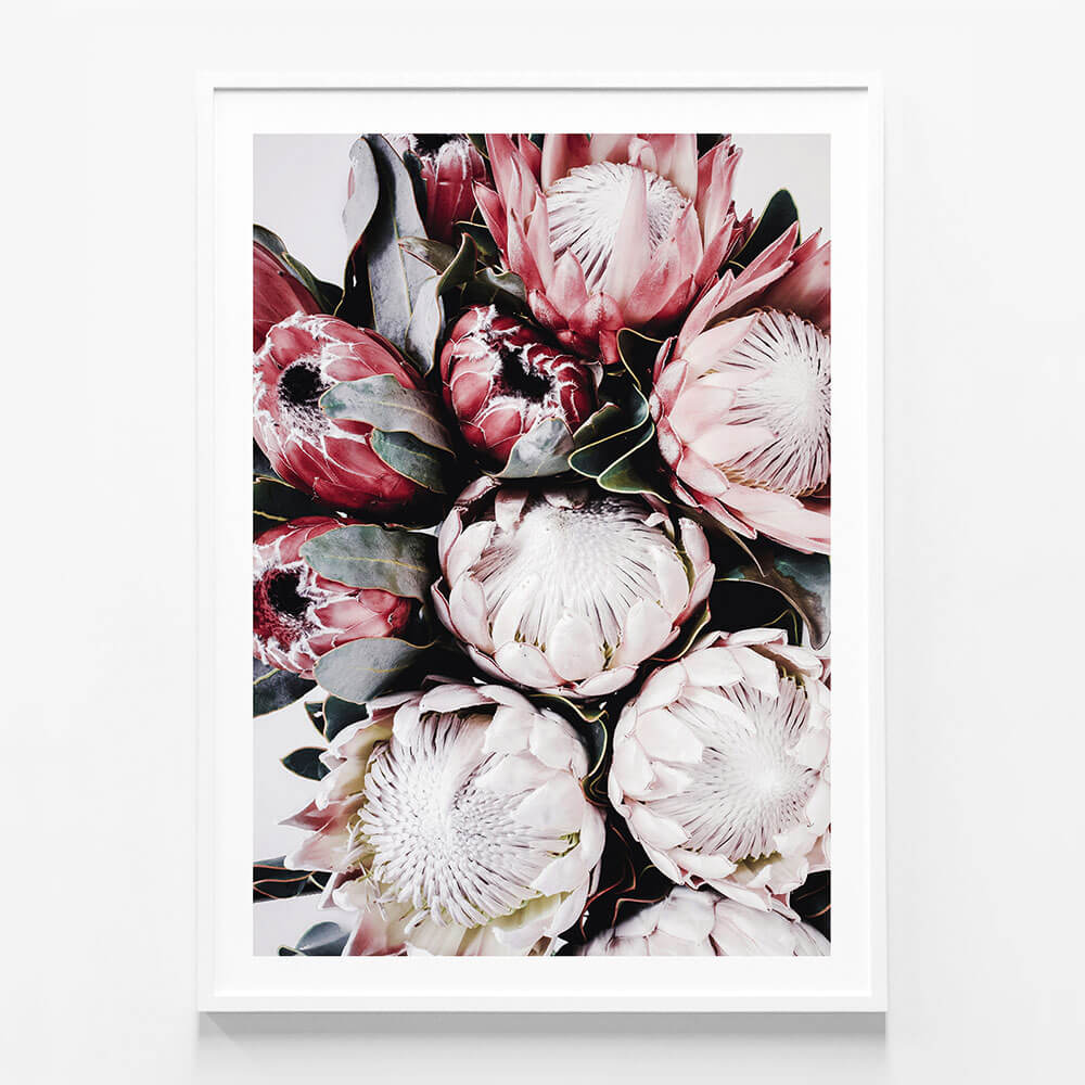 Vintage Protea