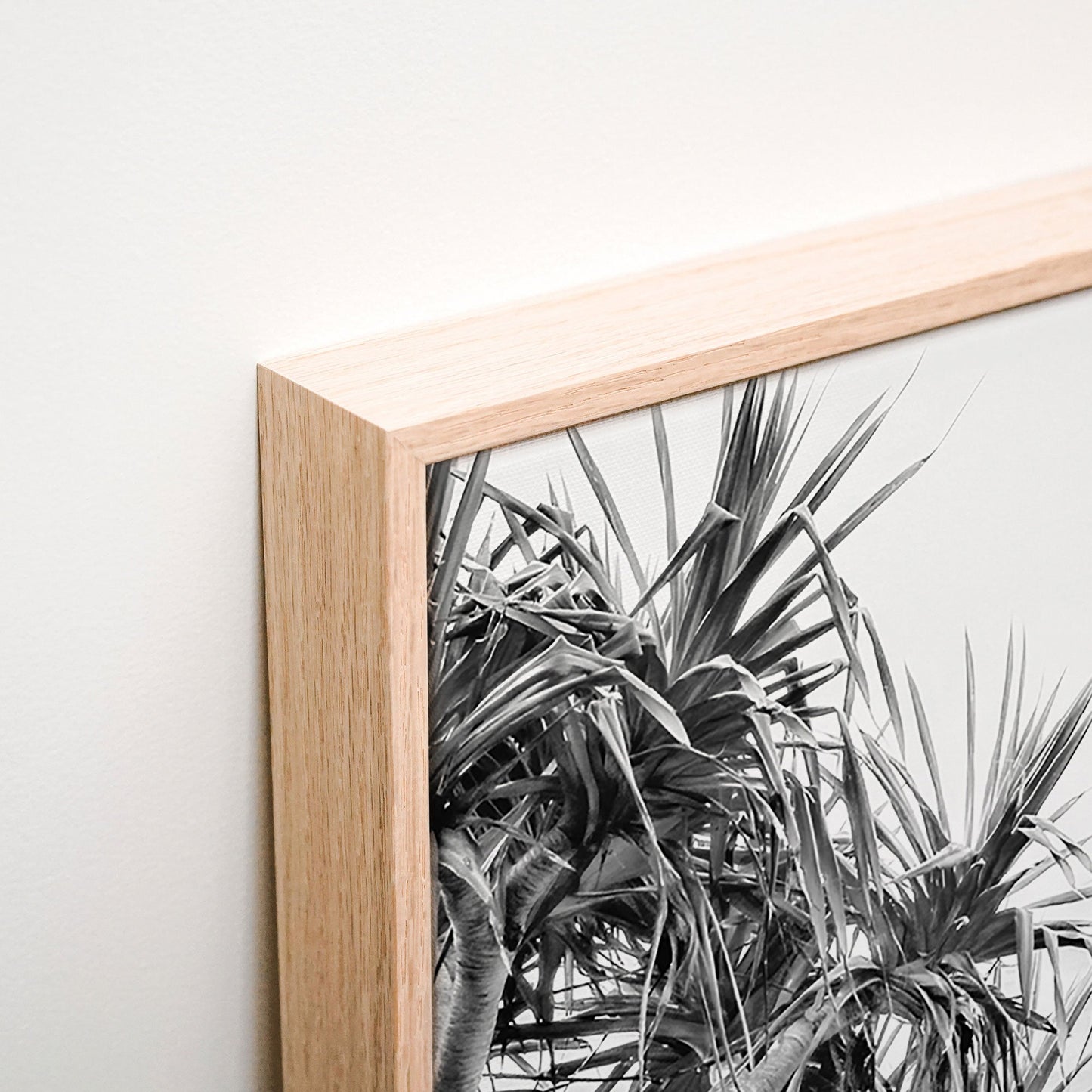 Wategos View B&W Canvas wall art corner detail