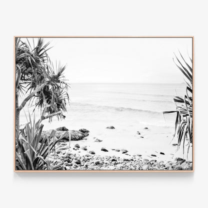 Wategos View B&W Canvas print in oak frame