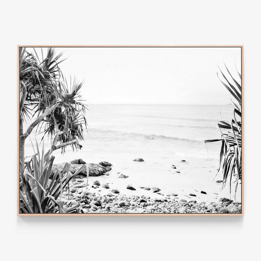 Wategos View B&W Canvas print in oak frame