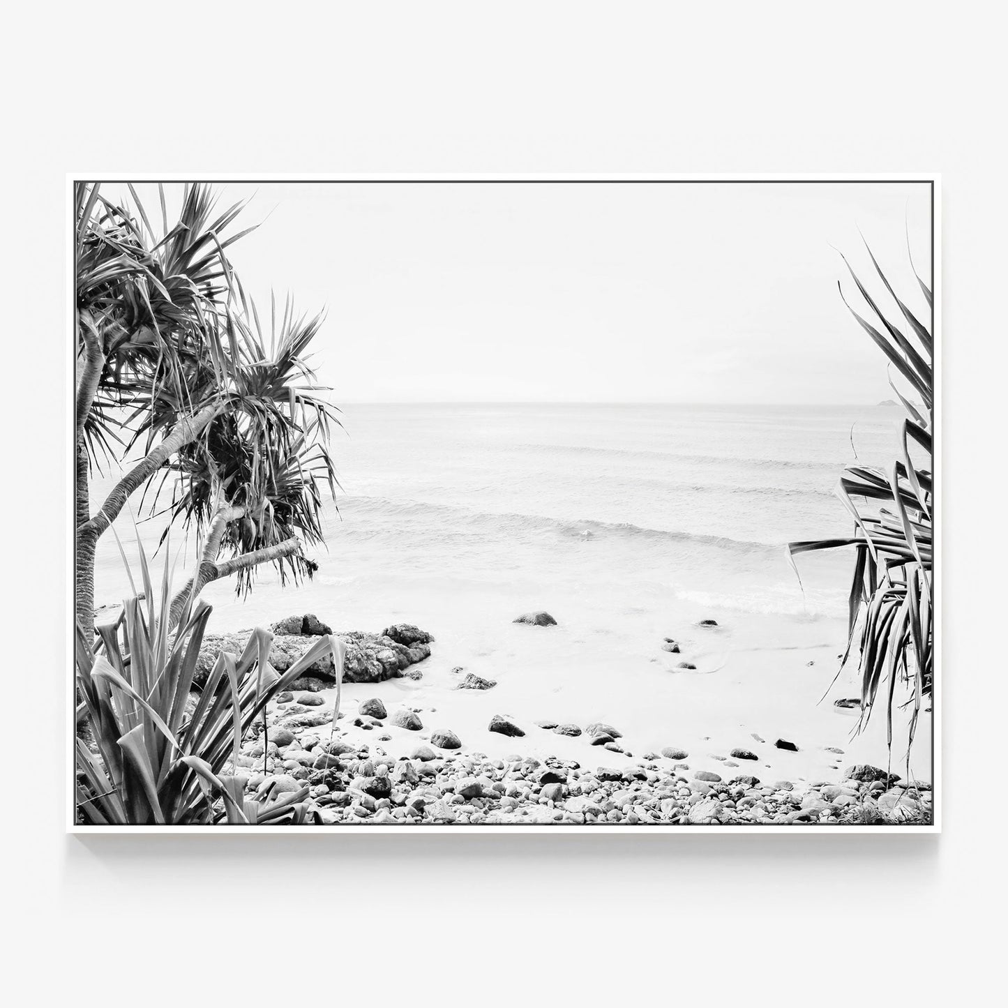 Wategos View B&W Canvas