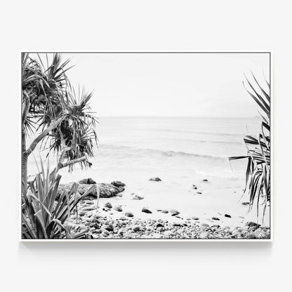 Wategos View B&W Canvas