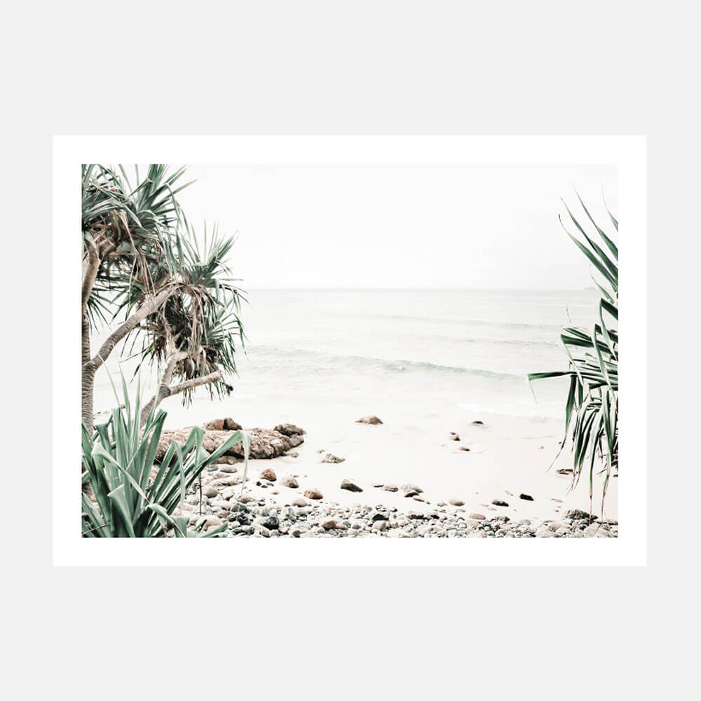 A photo of a beach scene with palm trees and a view of the ocean near Wategos beach Australia.