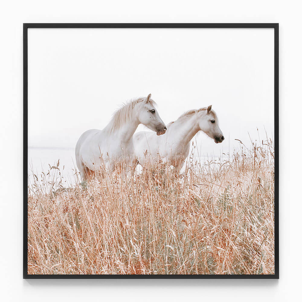 Welsh Horses