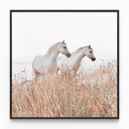 Welsh Horses