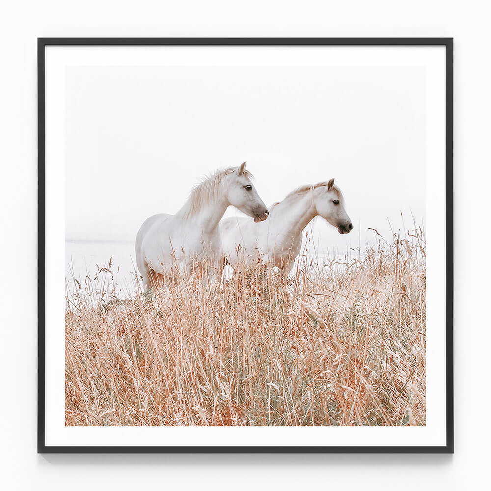 Welsh Horses