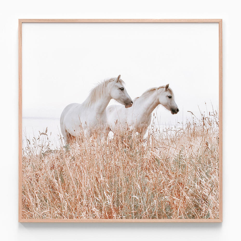 Welsh Horses