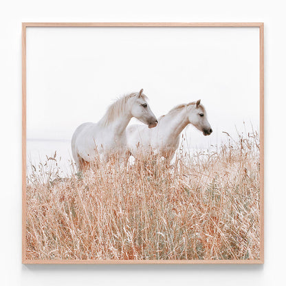 Welsh Horses