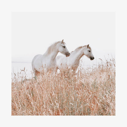 Welsh Horses