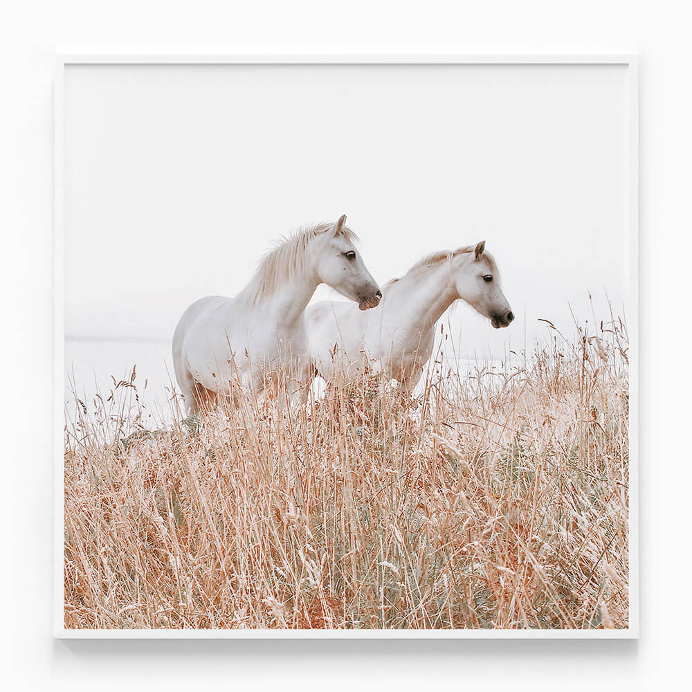 Welsh Horses