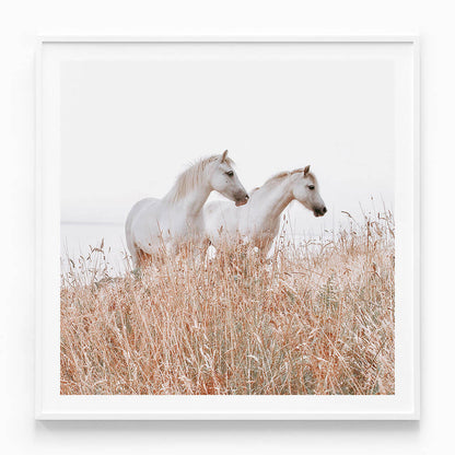 Welsh Horses