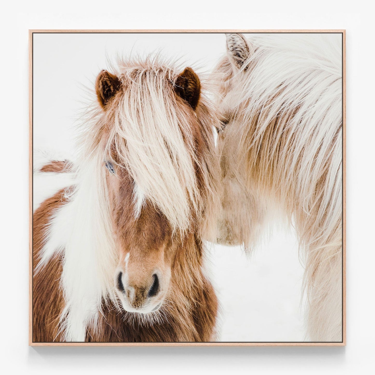 Whisper Canvas print in oak frame