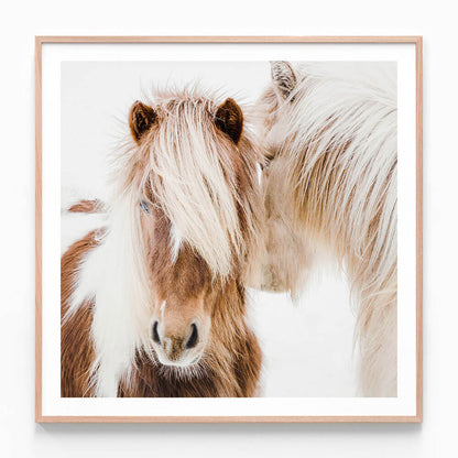 A close-up photography framed print of a horse with a focus on its face and mane.