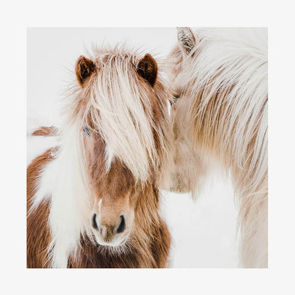 Whisper