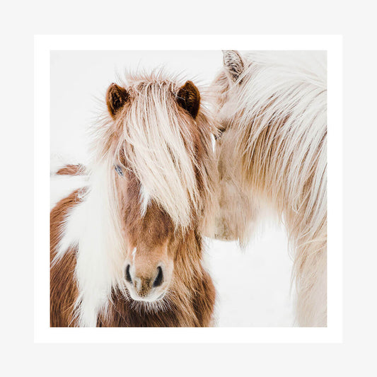 A close-up photography art print of a horse with a focus on its face and mane.