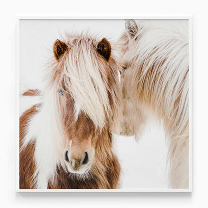 Whisper