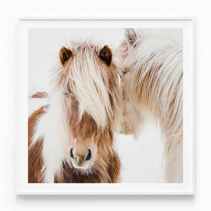 Whisper
