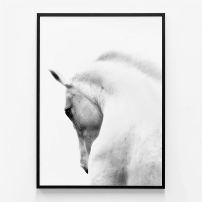 White Stallion