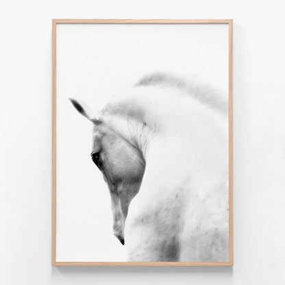 White Stallion