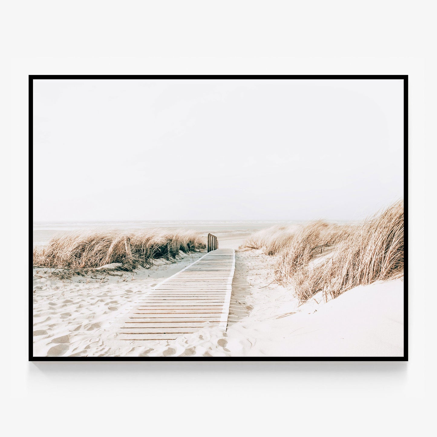 Wild Grass Canvas