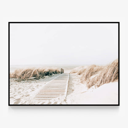 Wild Grass Canvas