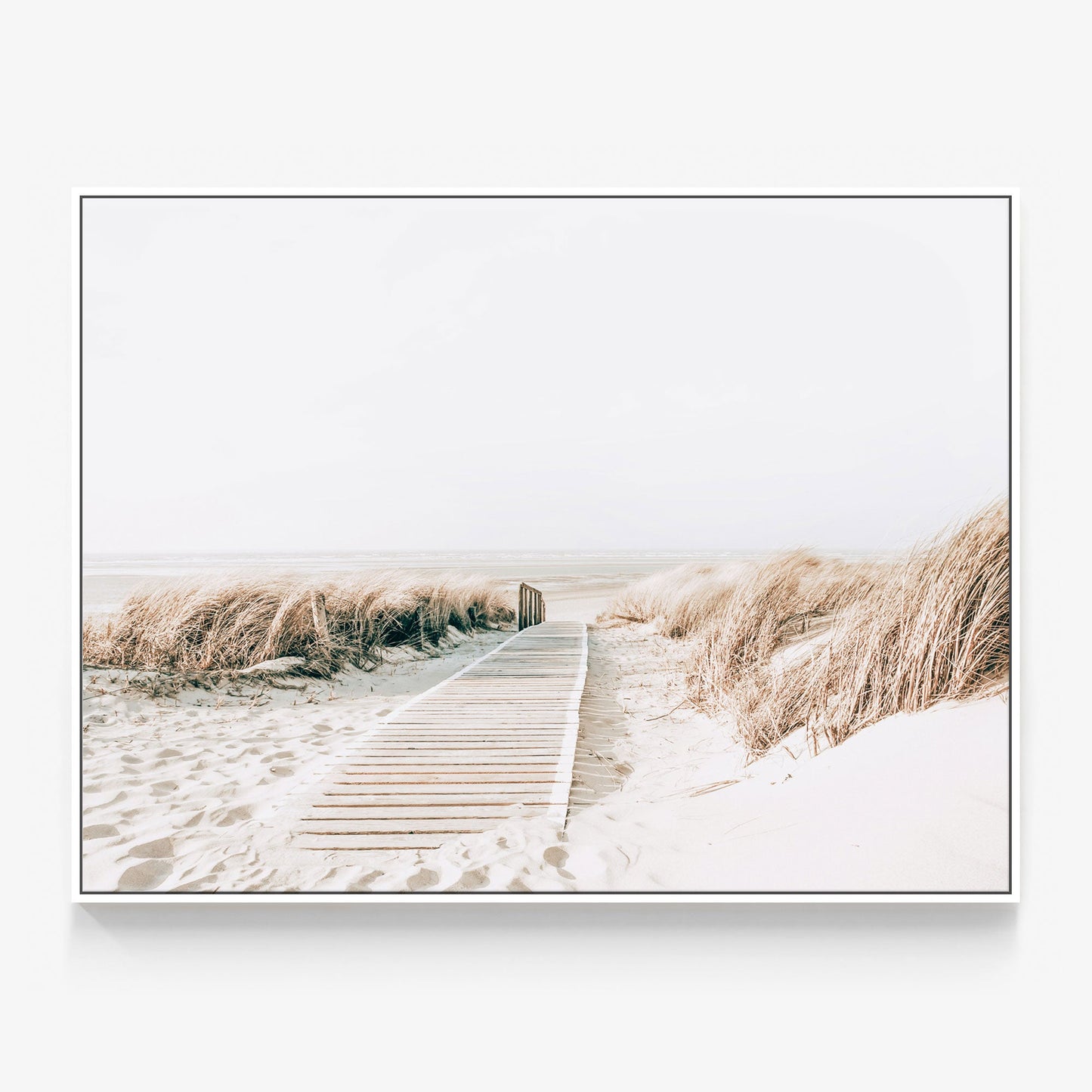 Wild Grass Canvas