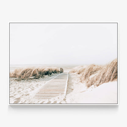 Wild Grass Canvas