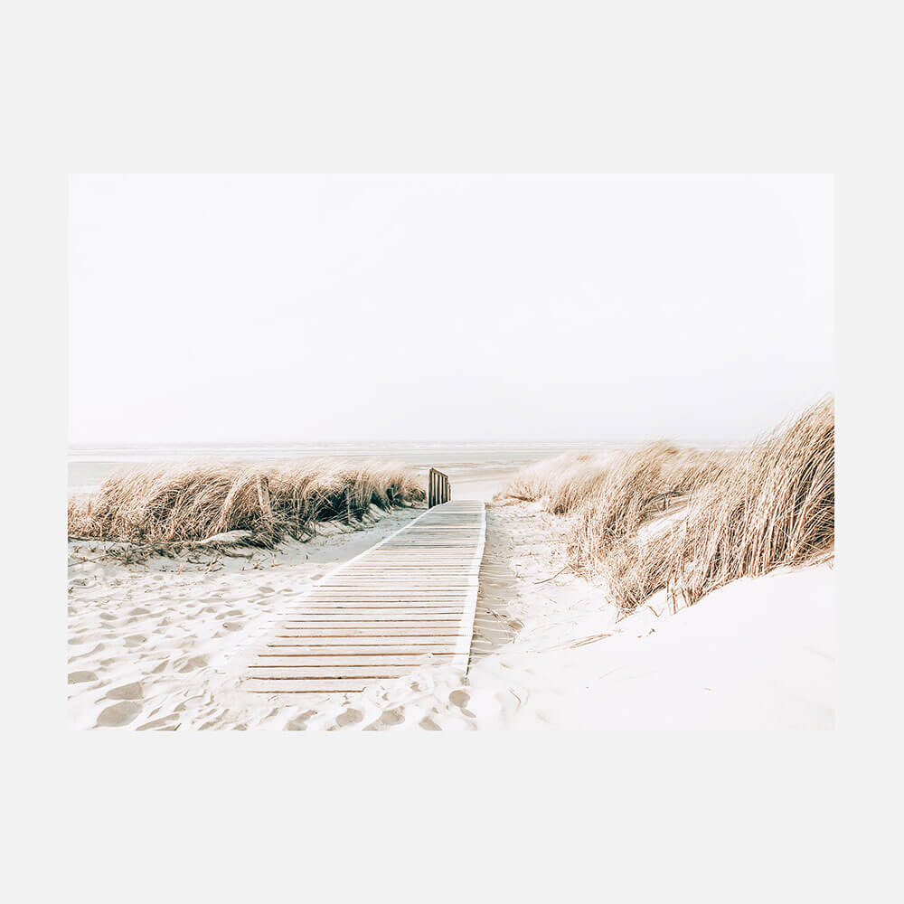 Wild Grass