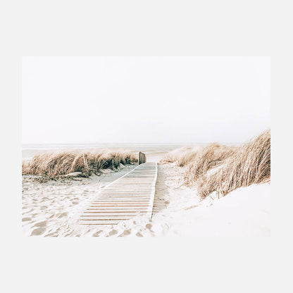 Wild Grass