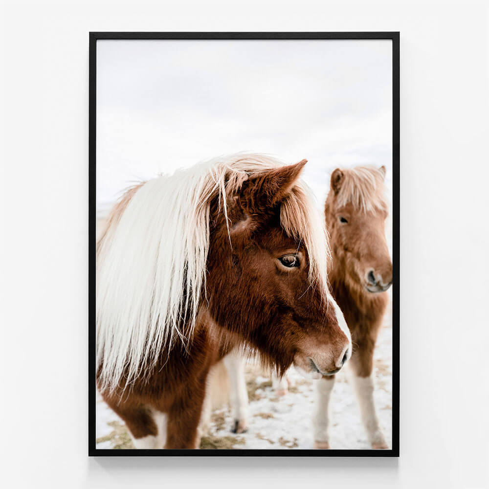 Wild Horse No. 1