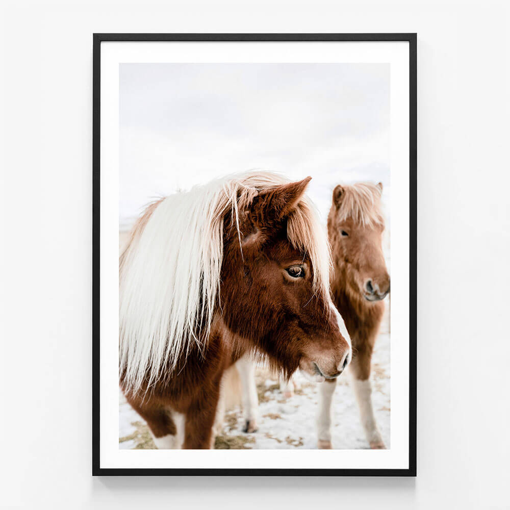 Wild Horse No. 1