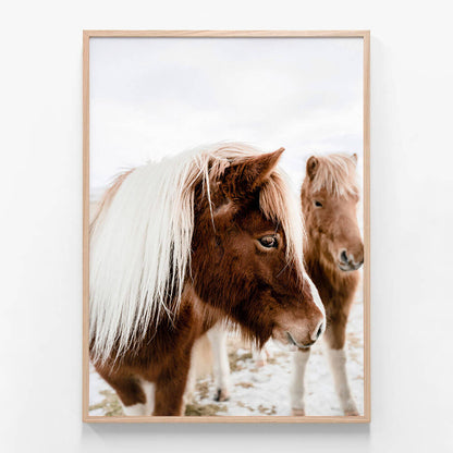 Wild Horse No. 1