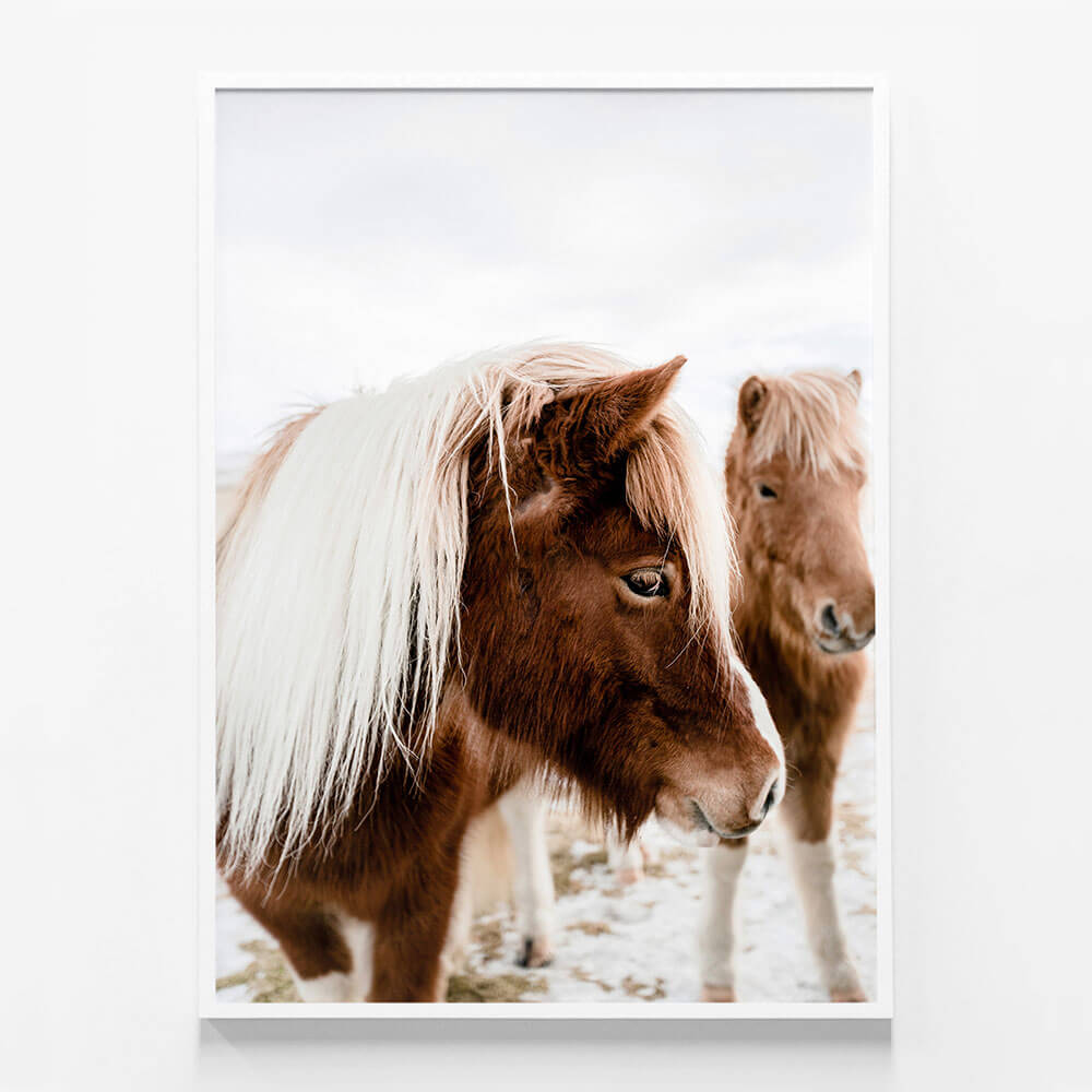 Wild Horse No. 1