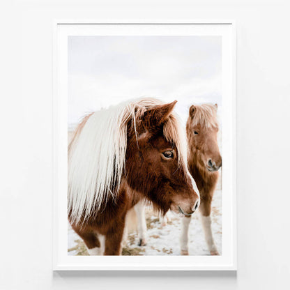 Wild Horse No. 1