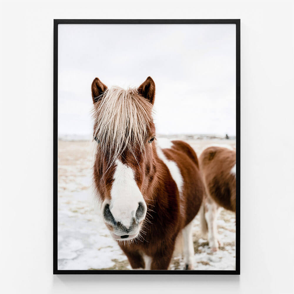 Wild Horse No. 2