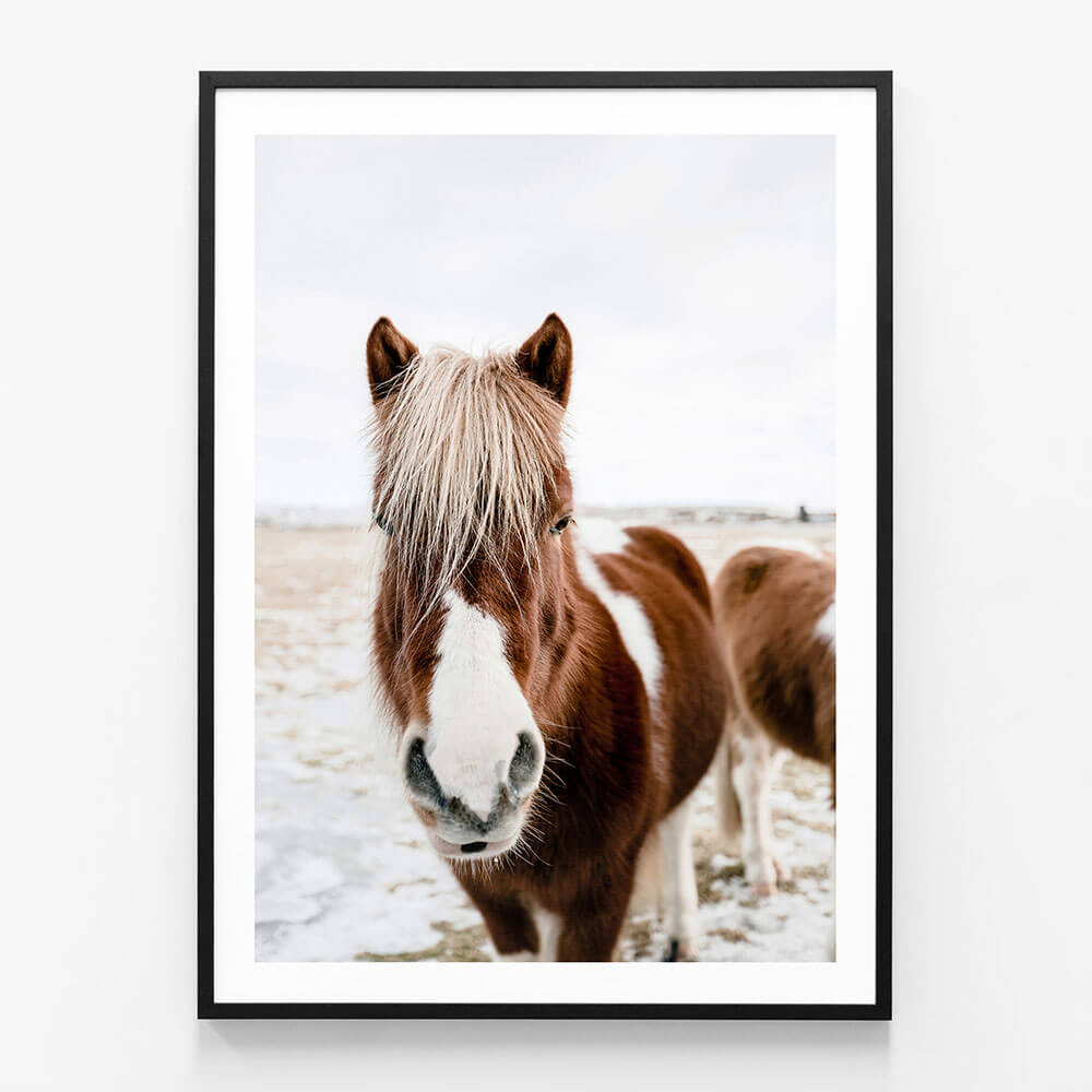 Wild Horse No. 2