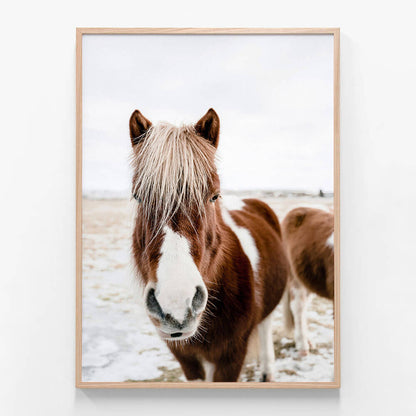 Wild Horse No. 2