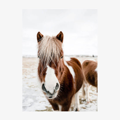 Wild Horse No. 2