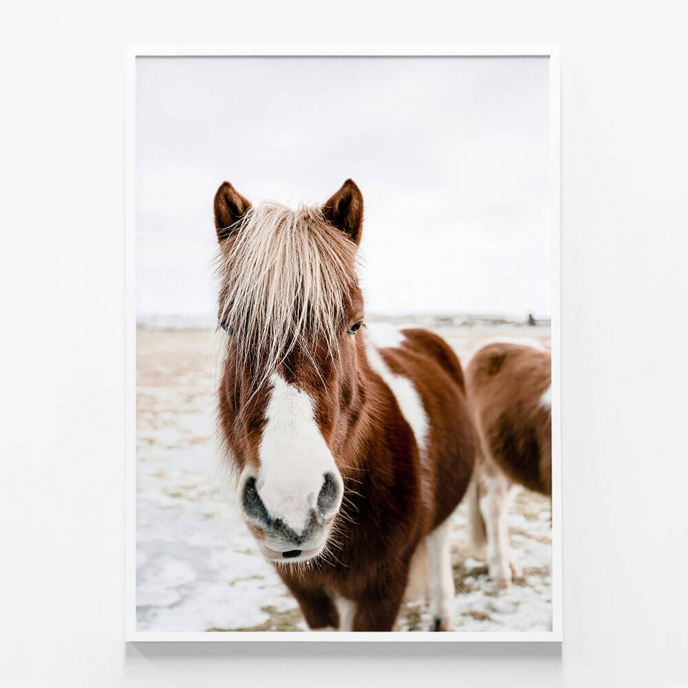 Wild Horse No. 2