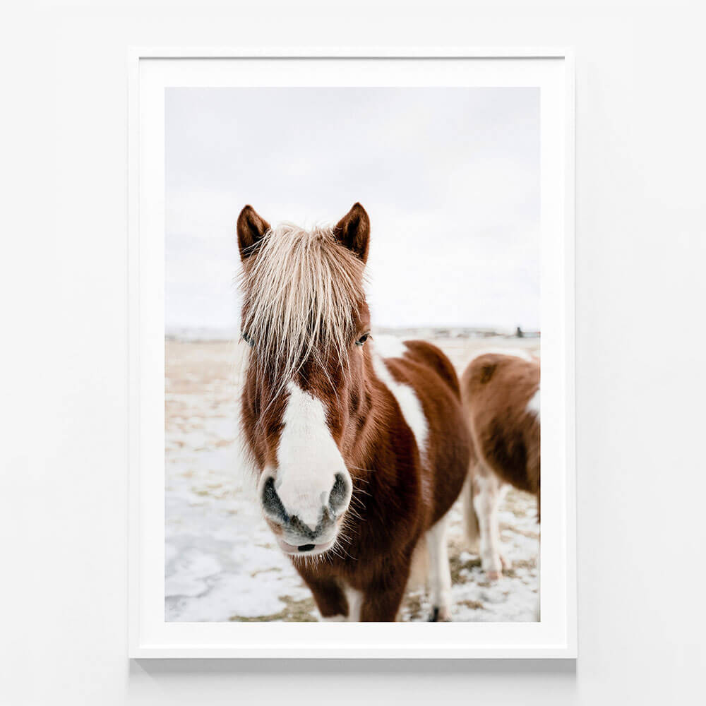 Wild Horse No. 2