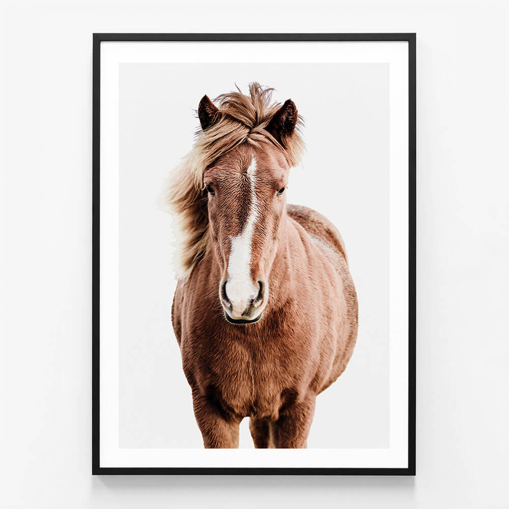 Wild Horse No.5