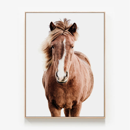 Wild Horse No.5 Canvas wall art with oak float frame