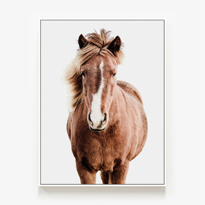 Wild Horse No. 5 Canvas