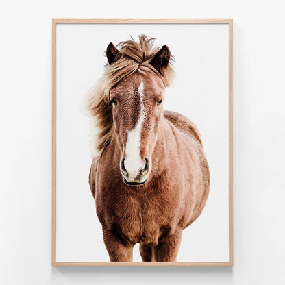 Wild Horse No.5