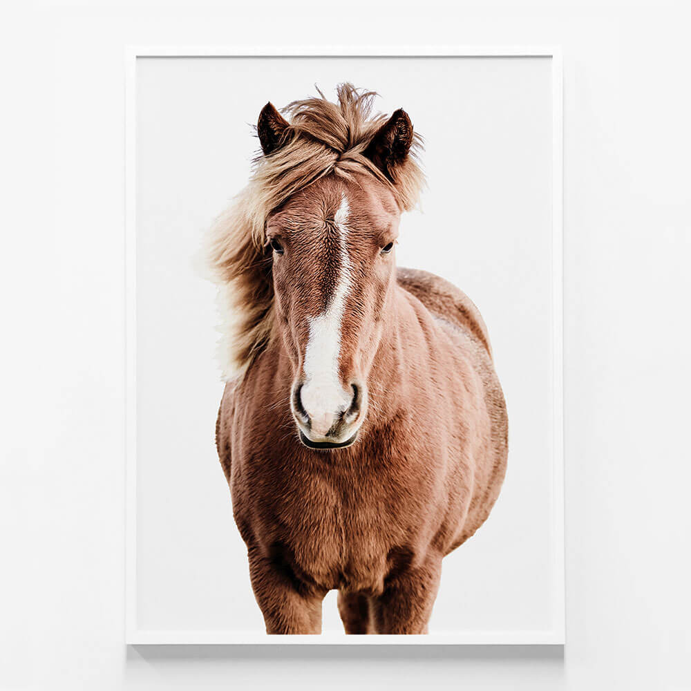 Wild Horse No.5