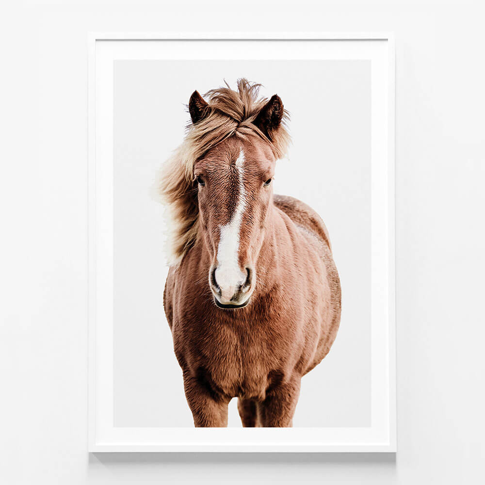 Wild Horse No.5